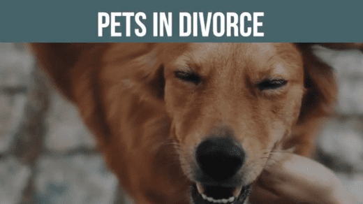 Quick Tips - Pets in Divorce